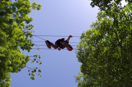 Kudowa-Zdrój Atrakcja park linowy Park Linowy Kudowa